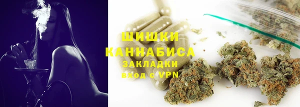 амф Арсеньев