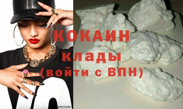 мяу мяу мука Аркадак