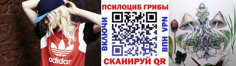 купить наркотик  Волжск  гидра сайт  Псилоцибиновые грибы прущие грибы 