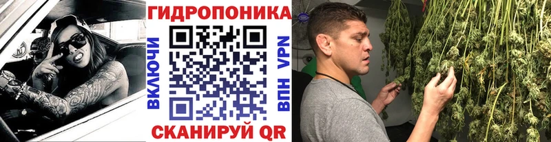 сколько стоит  МЕГА ссылка  Каннабис ГИДРОПОН  Волжск 